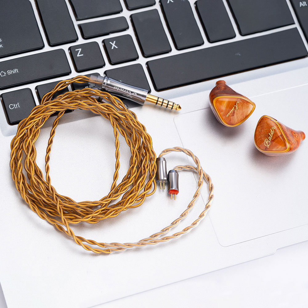 Nouveaux écouteurs intra-auric - In Ear Monitor Iem avis et prix